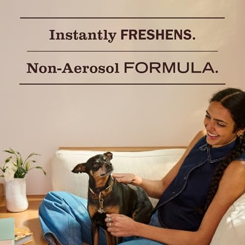 Lavender Room Spray Air Freshener - Non-Aerosol Essential Oil (8 oz, 3 Pack)