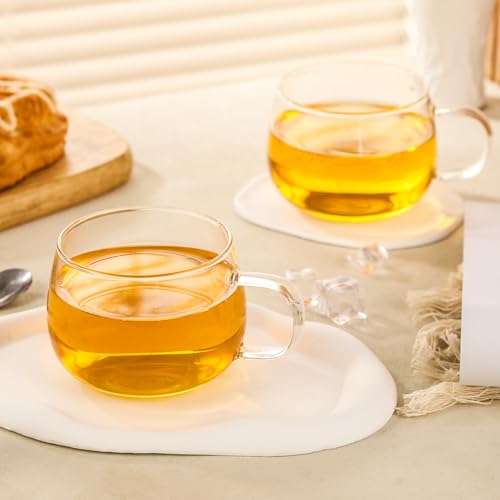 GURUDAR 12OZ/360ML Set of 2 Borosilicate Glass Tea Cups with Handles - Microwave & Dishwasher Safe