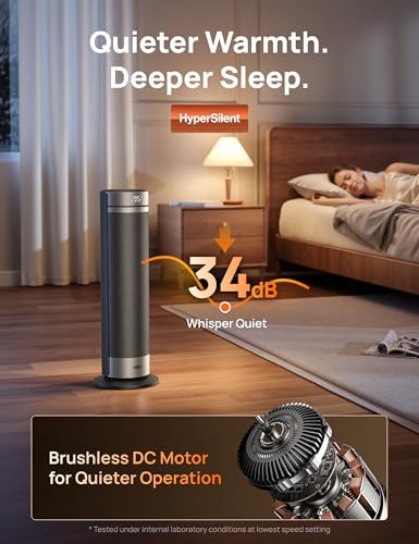 Ceramic Space Heater with Remote and Thermostat for Indoor Use