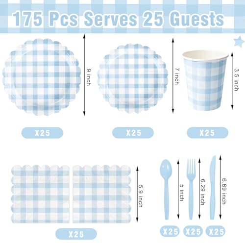 Light Blue Gingham Party Supplies Set for Wedding & Baby Showers - 175 Pieces