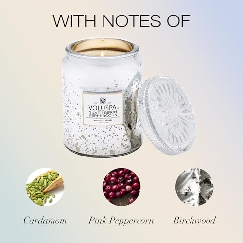 Voluspa Silver Birch Peppercorn Decor Candle - 18oz Coconut Wax Blend, 100 Hour Burn Time