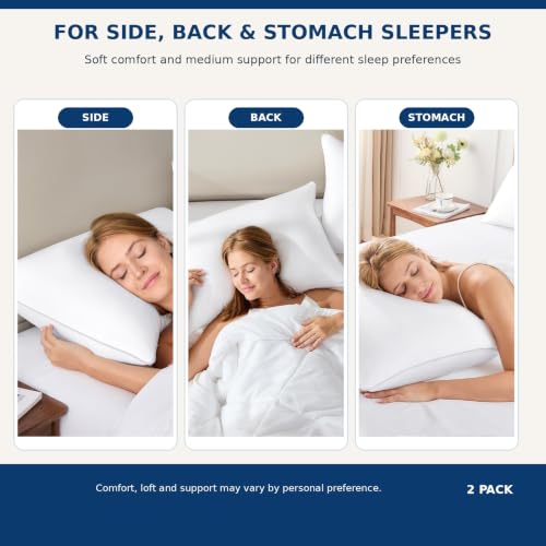 CozyLux Queen Bed Pillows Set of 2 - Soft Down Alternative Sleeping Pillows