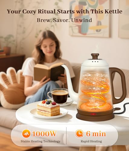 1L Gooseneck Electric Kettle, Stainless Steel Pour-Over Coffee Tea Pot