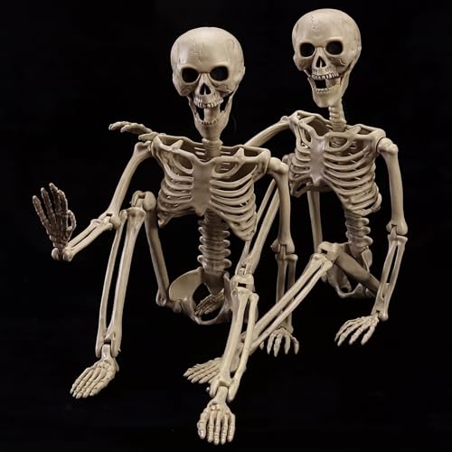 40" Posable Halloween Skeletons 2-Pack - Life-Size Posable Full Body Props for Outdoor Yard and Haunted House Decor