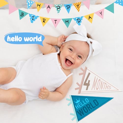 14 Pcs Baby Monthly Milestone Pennant Banner - Felt Photo Prop for Birthdays