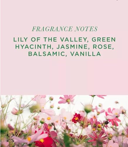 Floral Scented Potpourri 12 oz - Decorative Home Fragrance Botanical Mix
