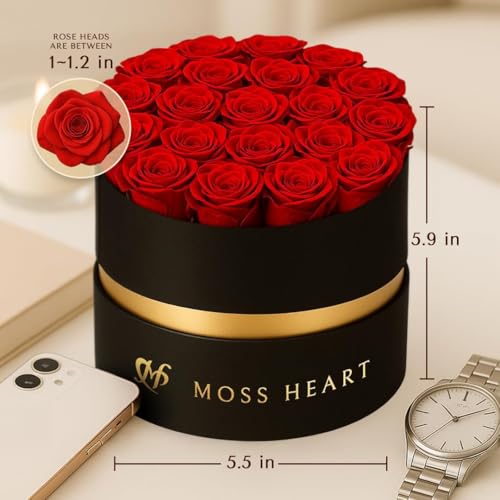 20 Preserved Red Roses in Luxury Round Gift Box - Long-Lasting Eternal Flowers