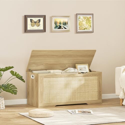 39-inch Storage Chest with Safety Hinges, Toy Box & Entryway Shoe Bench