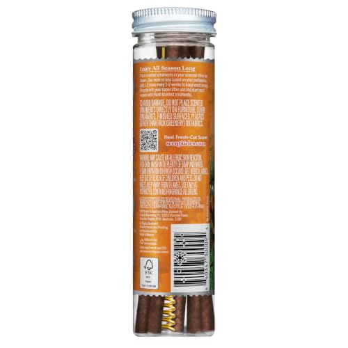 Spiced Pine Scented Christmas Tree Ornament Sticks, 12-Pack with Hooks