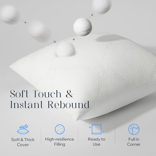 Phantoscope 18x18 Throw Pillow Insert - Soft Down Alternative Cushion Stuffer