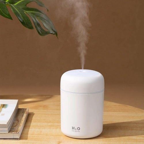 Portable Mini Humidifier USB Cool Mist 300ml White
