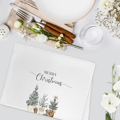 Gnmduw Hello Winter Christmas Kitchen & Hand Towels Set of 2, 16x24 Inches