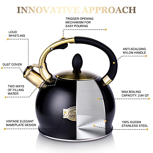 Whistling Tea Kettle, 2.7 QT Stainless Steel Stovetop Teapot with Mitt