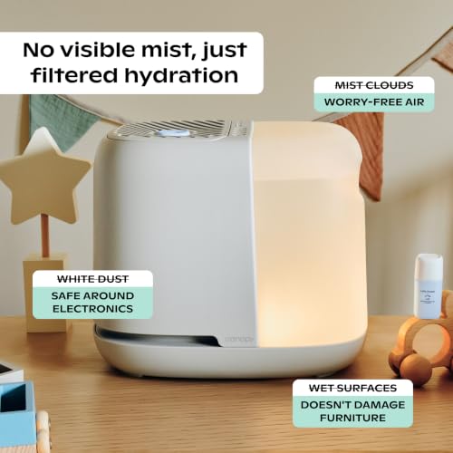Bedside Humidifier 2.5L with Aroma Diffusion and Sleep Light