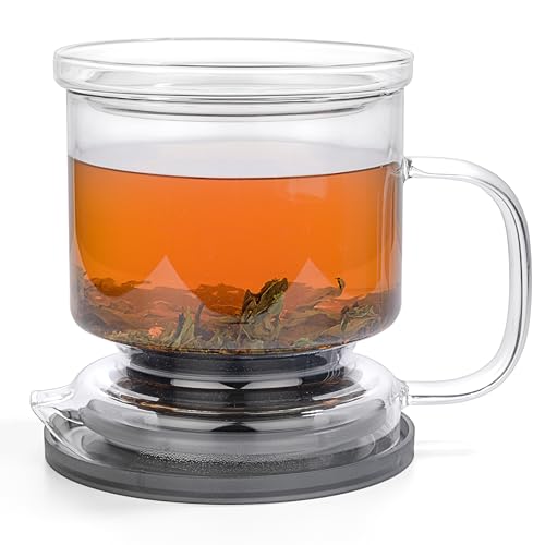 Dokaworld Transparent Glass Tea Infuser 17oz with Lid – Loose Leaf Brewer
