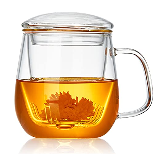 DOPUDO 17.6oz Borosilicate Glass Tea Cup with Infuser & Lid - Microwave Safe