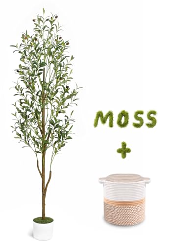 6FT Artificial Olive Tree with Cotton Basket for Home Decor