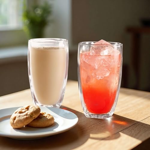 MESNEY 17oz Double Walled Insulated Glass Coffee Mug - Clear Latte Cup