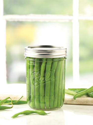 16 oz Wide Mouth Glass Mason Jars with Lids and Bands (Pack of 3)