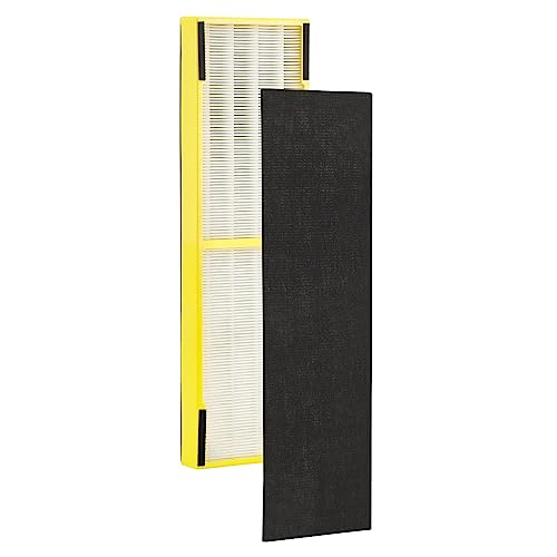 GermGuardian Filter B Genuine HEPA Air Purifier Replacement Filter FLT4825