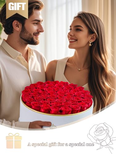 47 Preserved Red Roses in Luxury Velvet Box - Long Lasting Eternal Flowers