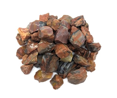 3 lbs Rainbow Petrified Wood Stones, Rough Arizona Natural Mineral Specimens