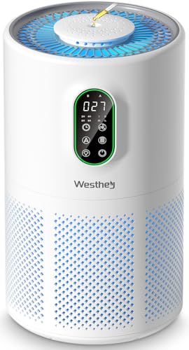 H13 HEPA Air Purifier for Home Large Rooms with PM2.5 Display and Auto Mode
