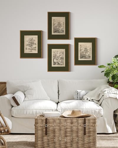 4-Piece Vintage Tree Sketch Wall Art Set, Framed Sage Green Nature Prints