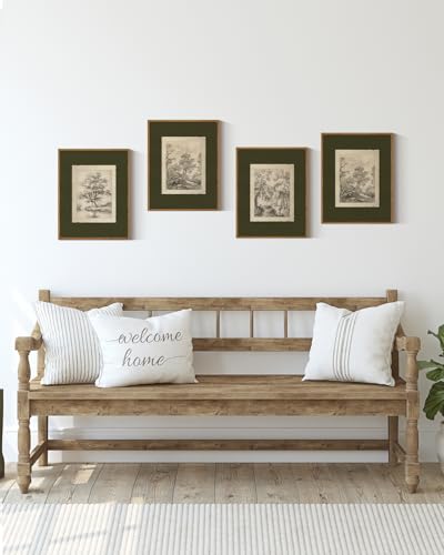 4-Piece Vintage Tree Sketch Wall Art Set, Framed Sage Green Nature Prints
