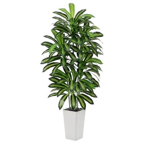 5FT Artificial Dracaena Tree with White Planter - Lifelike Indoor Faux Plant