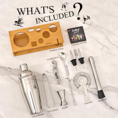 Eocolz Burlywood Silver 11-Piece Cocktail Bar Set with Stand, Shaker, Jigger & More
