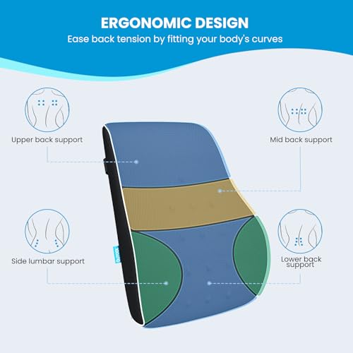 QUTOOL Ergonomic Lumbar Support Pillow for Office Chair & Car Seat