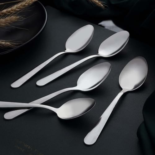 24-Piece Stainless Steel Dinner Spoon Set - 6.7 Inch Mirror Polished Spoons