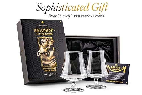 15 oz Crystal Brandy and Cognac Snifter Glasses Set of 2 - Elegant Tasting Drinkware
