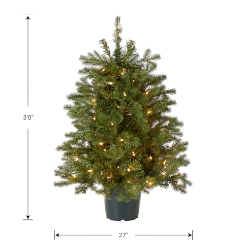 National Tree Company 3ft Pre-Lit Hampton Spruce Artificial Christmas Tree