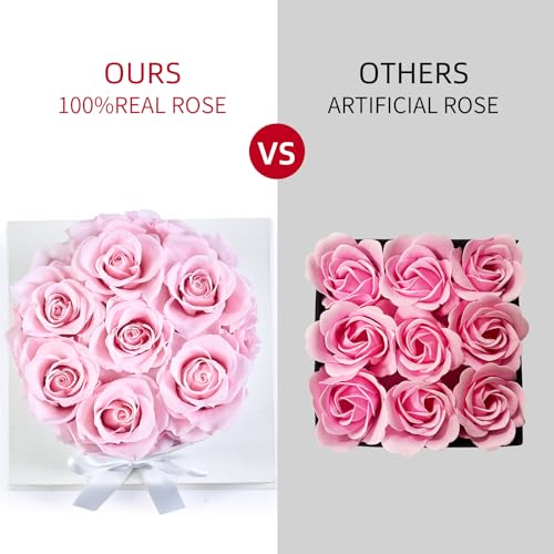 Preserved Pink Roses in a Box - Real Eternal Flowers Gift Set