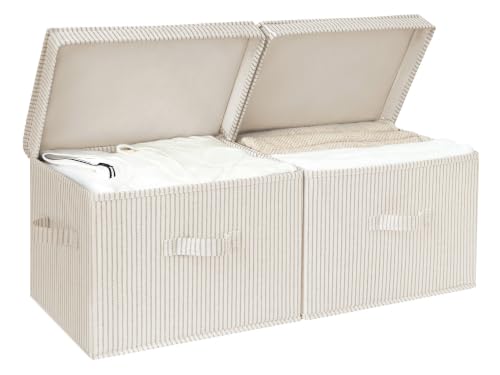Fabric Storage Bins with Lids and Handles 2-Pack Large Collapsible
