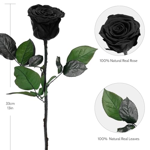 Preserved Rose Gift Set (5 Roses) for Mom Grandma - Eternal Real Rose, 30-32 cm stems