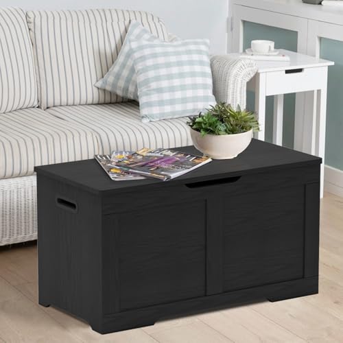 31.5-Inch Wooden Storage Bench with Safety Hinges, Large Lift-Top Toy Chest