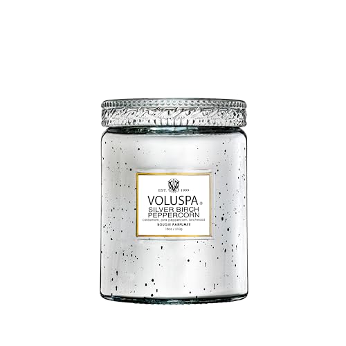 Voluspa Silver Birch Peppercorn Decor Candle - 18oz Coconut Wax Blend, 100 Hour Burn Time