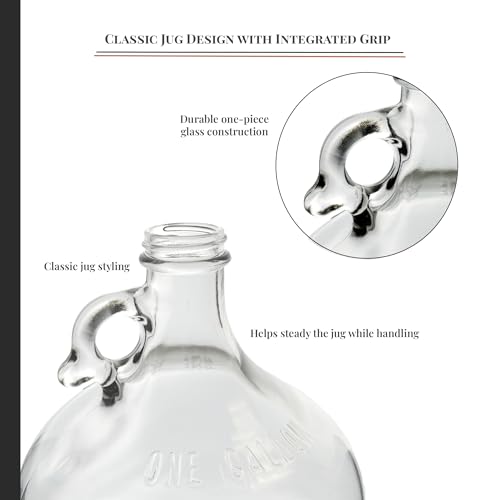 1 Gallon Glass Fermenting Jug with Air Lock and Rubber Stopper