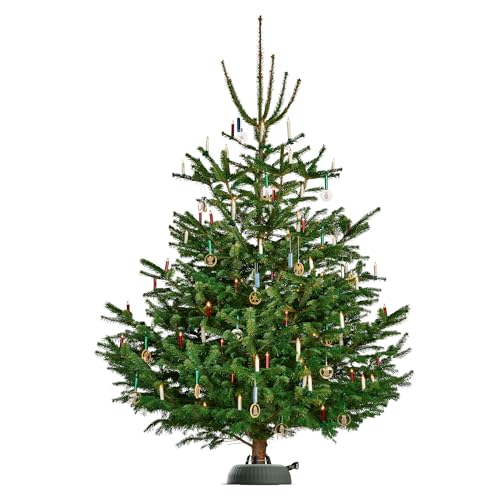 Christmas Tree Stand for Live Trees up to 12 ft - Foot Pedal & Water Indicator