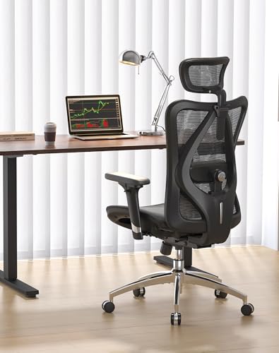 Ergonomic Office Chair with Mesh Back, Lumbar Support & 3D Armrests - Black