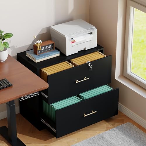 2-Drawer Lateral File Cabinet with Lock, Wood Printer Stand for Home Office