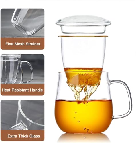 DOPUDO Glass Tea Cup with Infuser & Lid 17.6oz - Borosilicate Mug for Loose Leaf Tea, Microwave & Dishwasher Safe