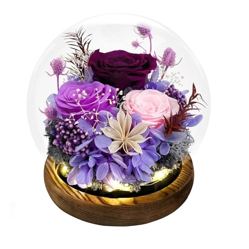 Preserved Eternal Rose in Glass Dome - Real Purple Flower with Wood Base