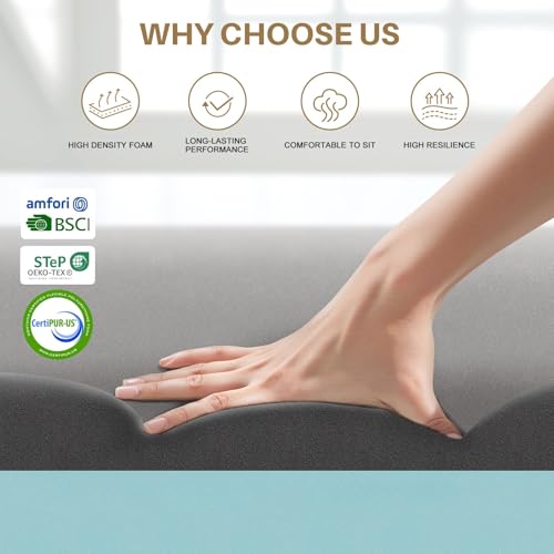 Sofa Cushion Support for Sagging Seats - 20x20x2 Inch High Density Foam