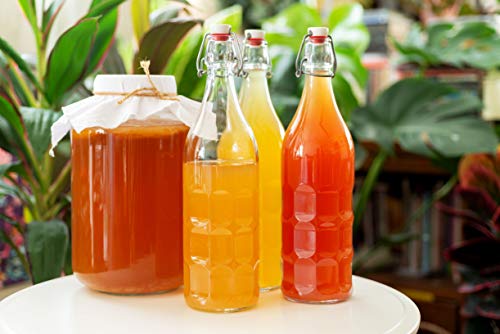 Flip Top Glass Bottles 1 Liter Swing Stopper Pack of 6