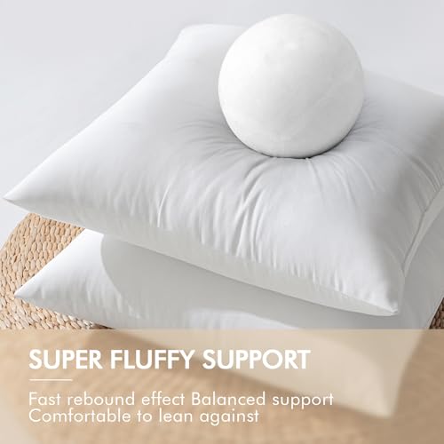 12x20 Inch Waterproof Outdoor Pillow Inserts, Set of 2