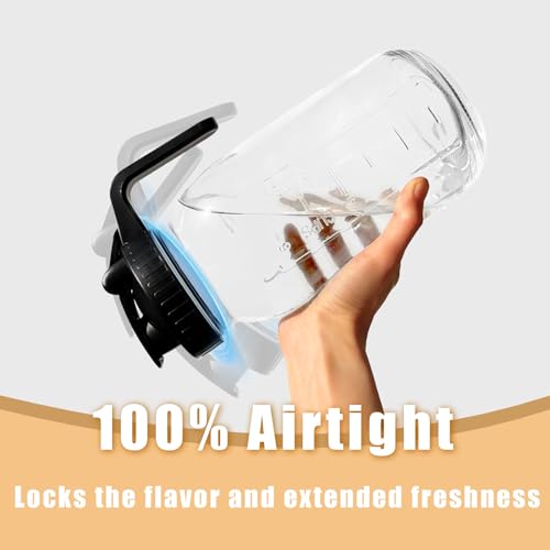 Wide Mouth Mason Jar Pour Spout Lid with Handle & Airtight Flip Cap - 2 Pack